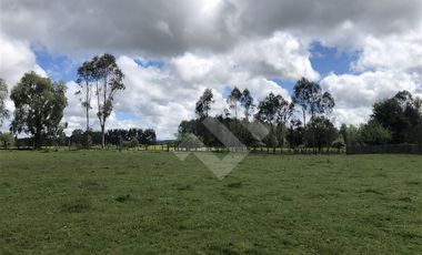 Sitio en Venta en Fundo Parga Beatas