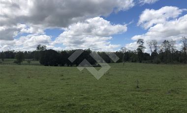 Sitio en Venta en Fundo Parga Beatas