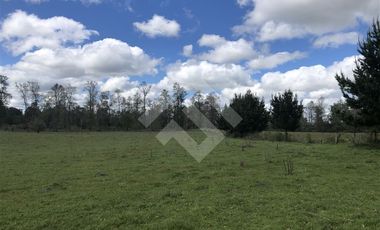 Sitio en Venta en Fundo Parga Beatas