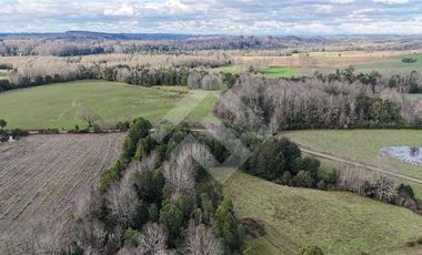 Sitio en Venta en Fundo Parga Beatas