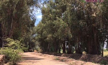 Parcela en Venta en Hacienda los Lingues - San Fernando