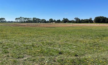 Terreno Construccion  en Venta en Osorno