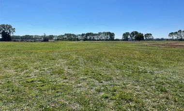 Terreno Construccion  en Venta en Osorno