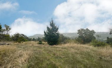 Sitio en Venta en Sitio en VENTA en condominio 