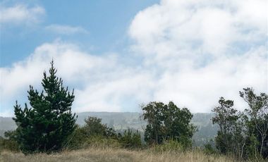 Sitio en Venta en Sitio en VENTA en condominio 