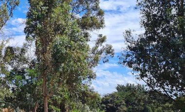 Sitio en Venta en km 1 Camino Antuco