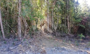 Parcela en Venta en Terrazas de Neo Alerce