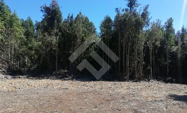 Parcela en Venta en Terrazas de Neo Alerce