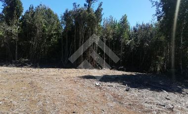 Parcela en Venta en Terrazas de Neo Alerce