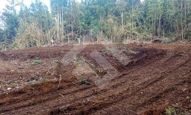 Parcela en Venta en Terrazas de Neo Alerce