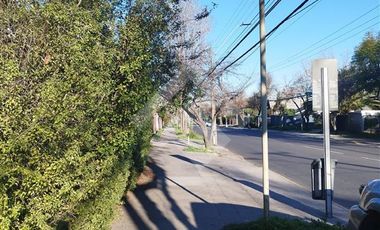 Local Comercial en Arriendo en Alexander Fleming / Av. Padre Hurtado