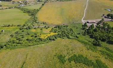 Agrícola en Venta en 48 ha en Rucapequen Chillan, Campo Agricola plano y lomaje muy suave