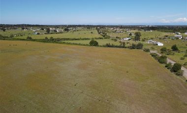 Agrícola en Venta en 48 ha en Rucapequen Chillan, Campo Agricola plano y lomaje muy suave