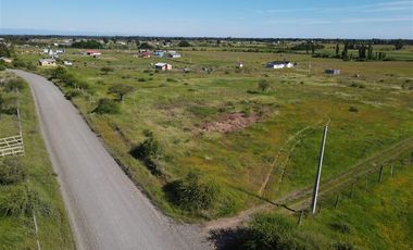Agrícola en Venta en 48 ha en Rucapequen Chillan, Campo Agricola plano y lomaje muy suave