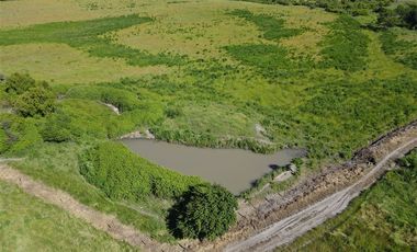Agrícola en Venta en 48 ha en Rucapequen Chillan, Campo Agricola plano y lomaje muy suave