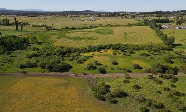 Agrícola en Venta en 48 ha en Rucapequen Chillan, Campo Agricola plano y lomaje muy suave