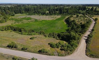 Agrícola en Venta en 48 ha en Rucapequen Chillan, Campo Agricola plano y lomaje muy suave