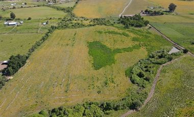 Agrícola en Venta en 48 ha en Rucapequen Chillan, Campo Agricola plano y lomaje muy suave