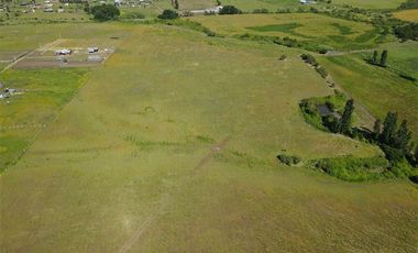 Agrícola en Venta en 48 ha en Rucapequen Chillan, Campo Agricola plano y lomaje muy suave