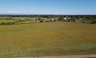 Agrícola en Venta en 48 ha en Rucapequen Chillan, Campo Agricola plano y lomaje muy suave