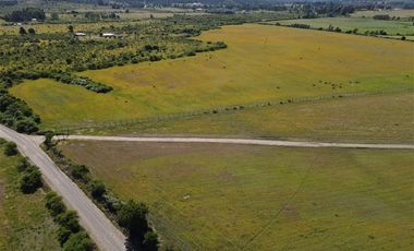 Agrícola en Venta en 48 ha en Rucapequen Chillan, Campo Agricola plano y lomaje muy suave