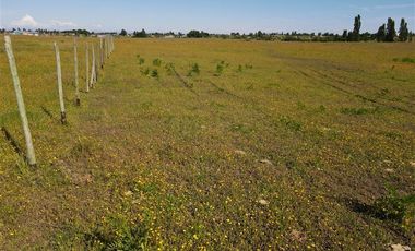 Agrícola en Venta en 48 ha en Rucapequen Chillan, Campo Agricola plano y lomaje muy suave