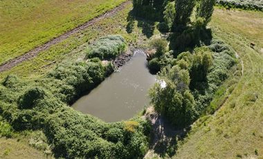 Agrícola en Venta en 48 ha en Rucapequen Chillan, Campo Agricola plano y lomaje muy suave