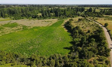 Agrícola en Venta en 48 ha en Rucapequen Chillan, Campo Agricola plano y lomaje muy suave
