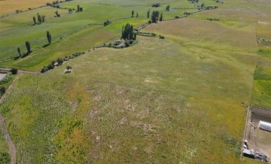 Agrícola en Venta en 48 ha en Rucapequen Chillan, Campo Agricola plano y lomaje muy suave