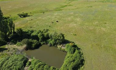 Agrícola en Venta en 48 ha en Rucapequen Chillan, Campo Agricola plano y lomaje muy suave