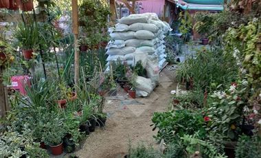 Local Comercial en Venta en Camino Publico Campiche