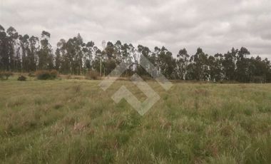 Parcela en Venta en litueche