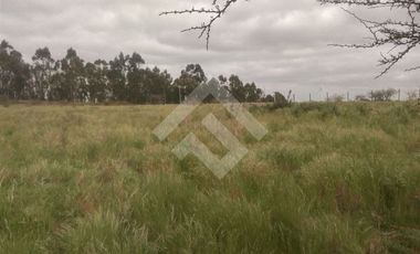 Parcela en Venta en litueche