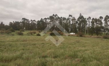 Parcela en Venta en litueche