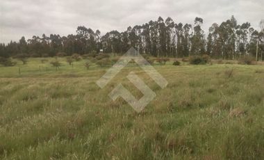 Parcela en Venta en litueche