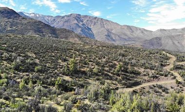 Sitio en Venta en Condominio Fundo San Francisco