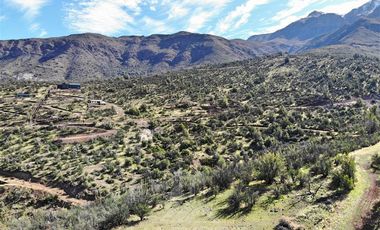 Sitio en Venta en Condominio Fundo San Francisco