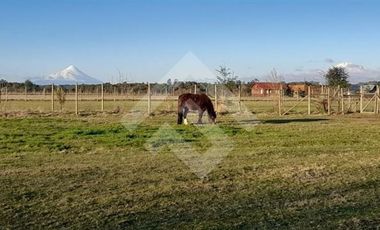 Local Comercial en Venta en SECTOR LA VEGA PUERTO VARAS