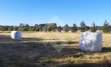 Local Comercial en Venta en SECTOR LA VEGA PUERTO VARAS