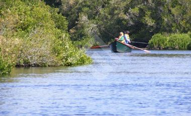 Local Comercial en Venta en SECTOR LA VEGA PUERTO VARAS