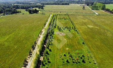 Local Comercial en Venta en SECTOR LA VEGA PUERTO VARAS