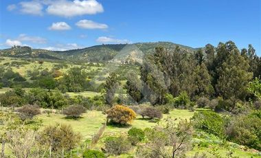 Parcela en Venta en Fuerte Aguayo