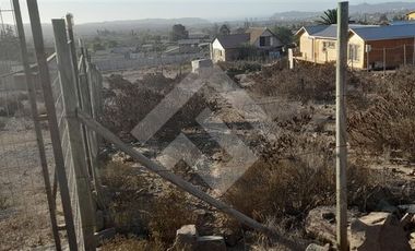 Sitio en Venta en Rinconada El Sauce, Coquimbo