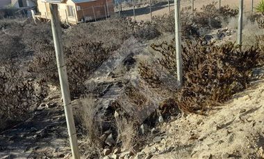 Sitio en Venta en Rinconada El Sauce, Coquimbo