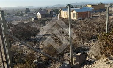 Sitio en Venta en Rinconada El Sauce, Coquimbo
