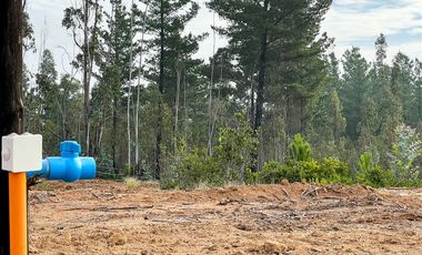 Sitio en Venta en Loteo Vista La Polcura, Sector Matanzas, Navidad