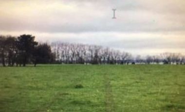 Agrícola en Venta en Ranco