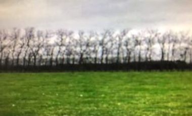 Agrícola en Venta en Ranco