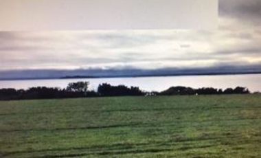 Agrícola en Venta en Ranco