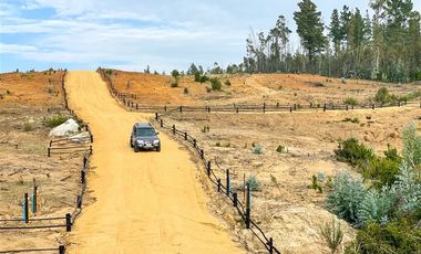 Parcela en Venta en Loteo Vista La Polcura, Sector Matanzas, Navidad